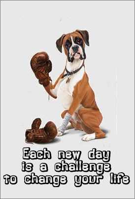 boxer quote
