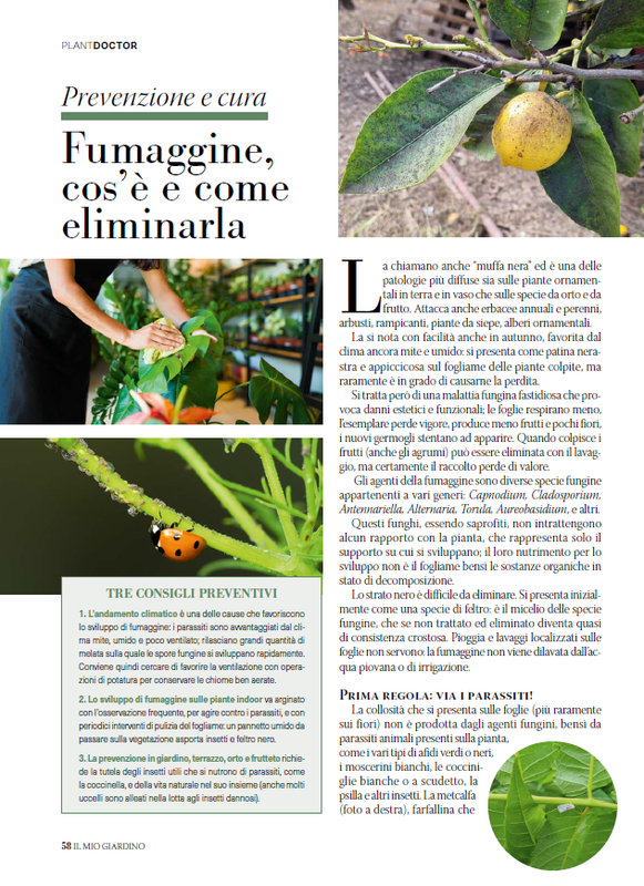 il mio Giar Ott Nov 2026 (5)
