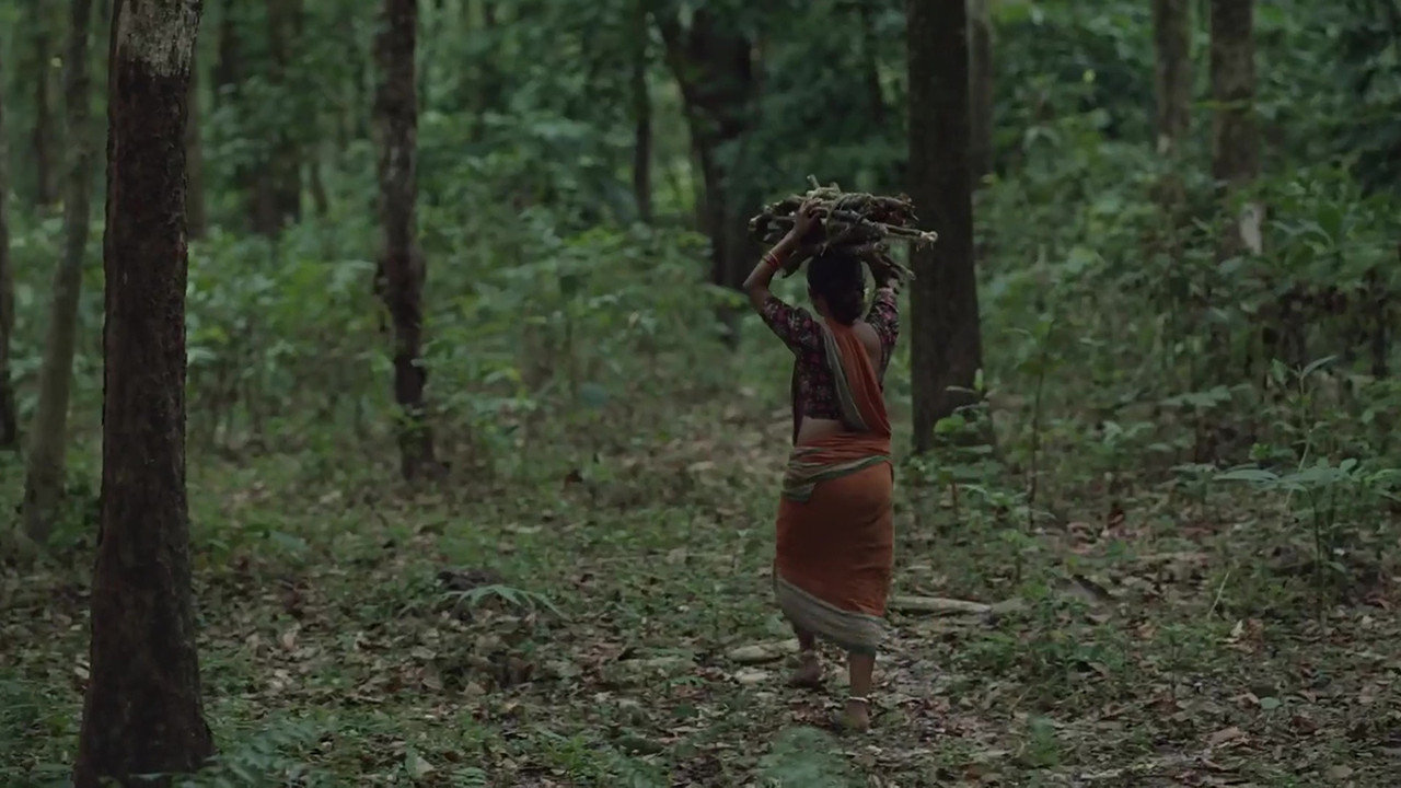 vlcsnap 2025 11 03 23h00m36s852