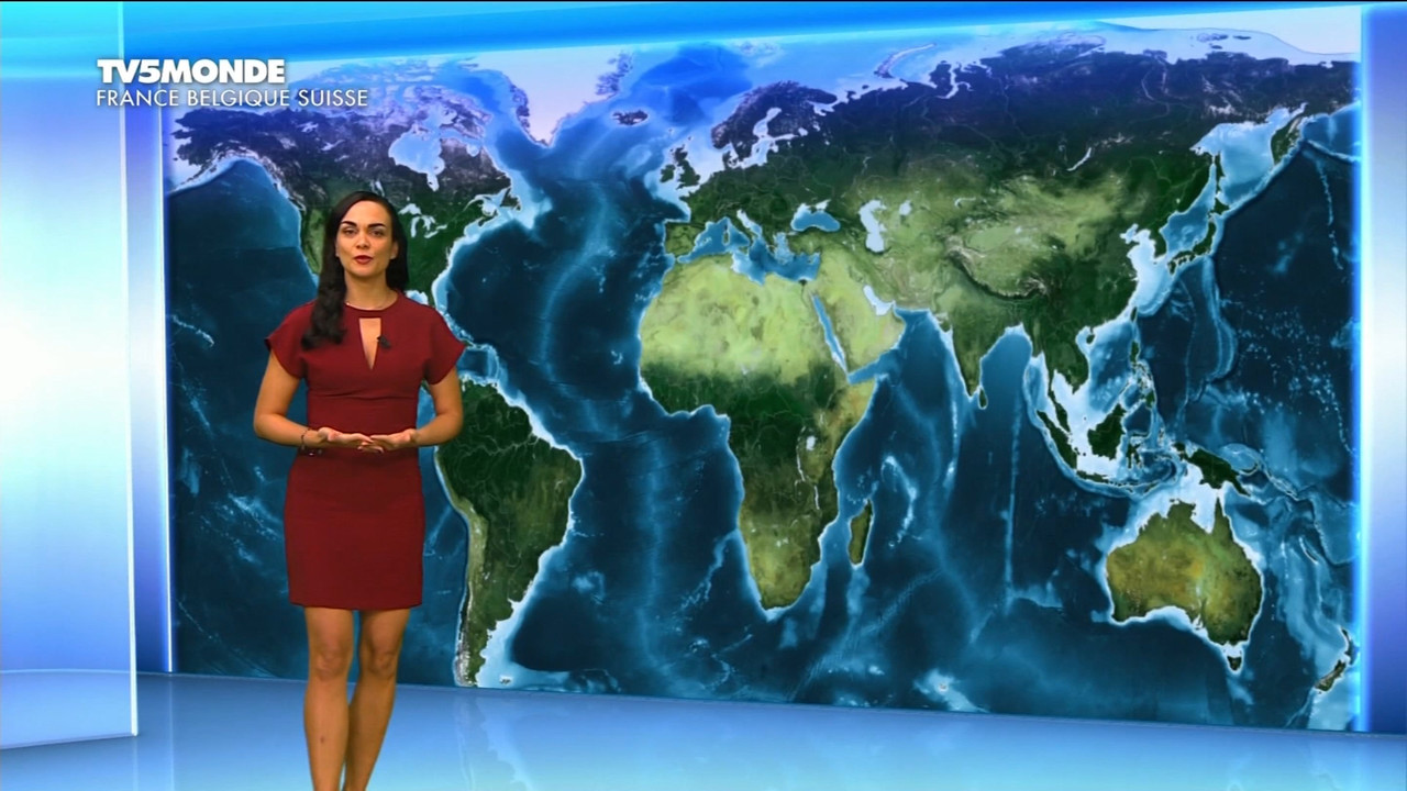 12.01 - 17.26.00 - Météo. Le bulletin météorologique international.ts_snapshot_08.31.175