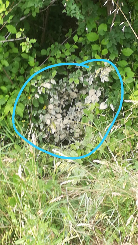 BF578816-DC92-4572-A6E3-3307B7DC0842