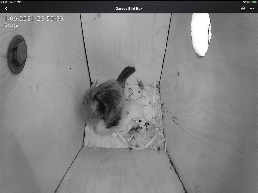 4F762CA4-861D-42AF-ACAA-2AEBFEF16050