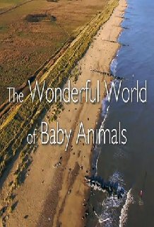 Wonderful-World-2019-720p-Blu-Ray-x264-x