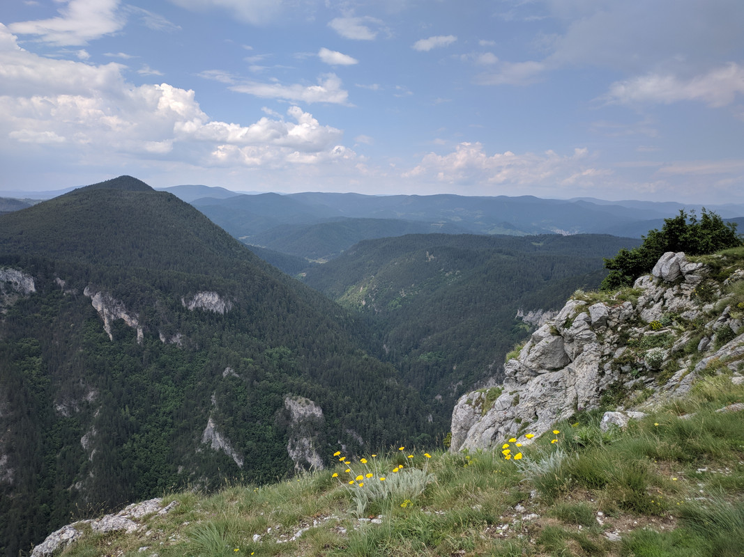 IMG_20190628_132052