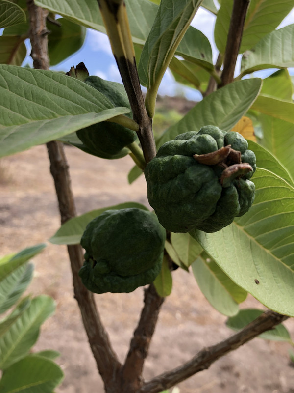 36C4638A-C716-40B4-ADDD-5DD7CC9380F0