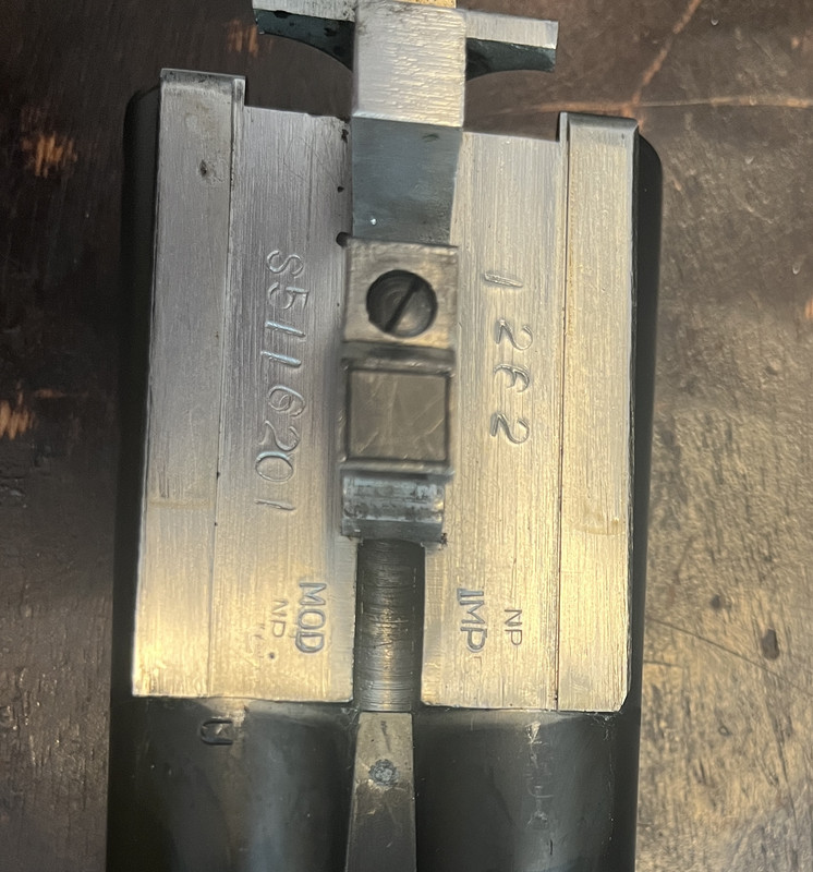 Photo Aug 17 2024, 2 03 17 PM