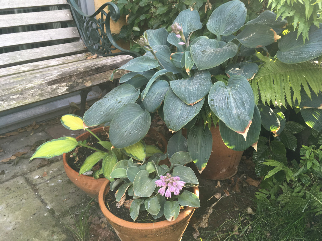 C5516695-0902-40D7-A75C-28EC047F2A18