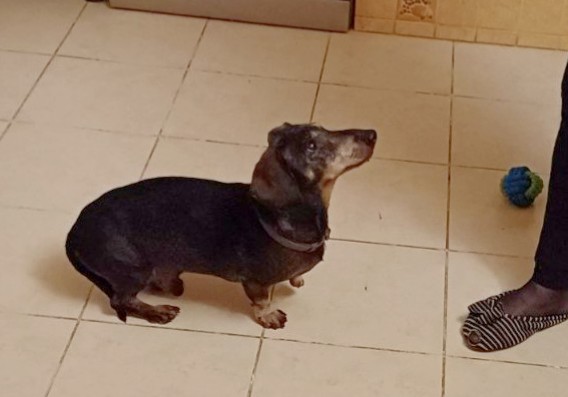 [Image: 20240212-193655.jpg]