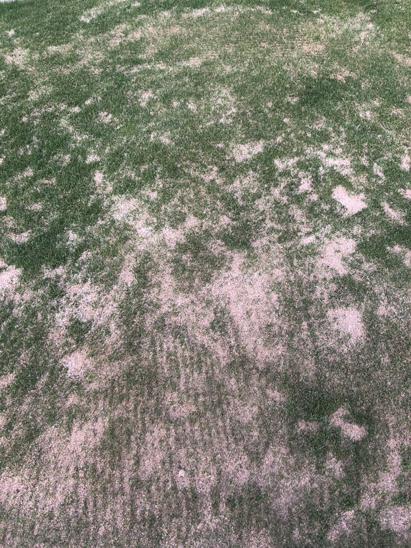 13058731-FD8E-4BC3-B95F-F257A3DD6995