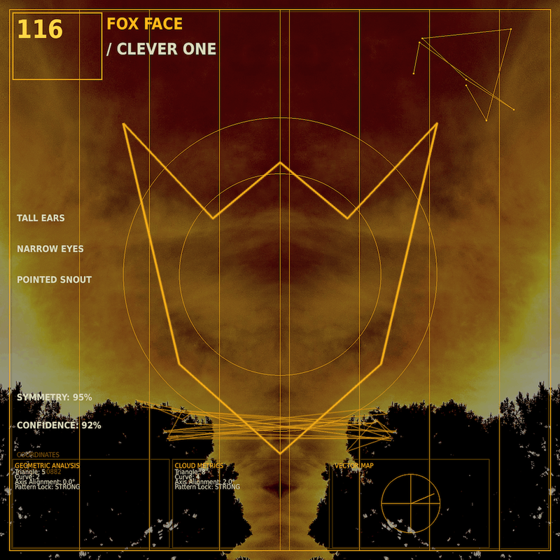 Fox face