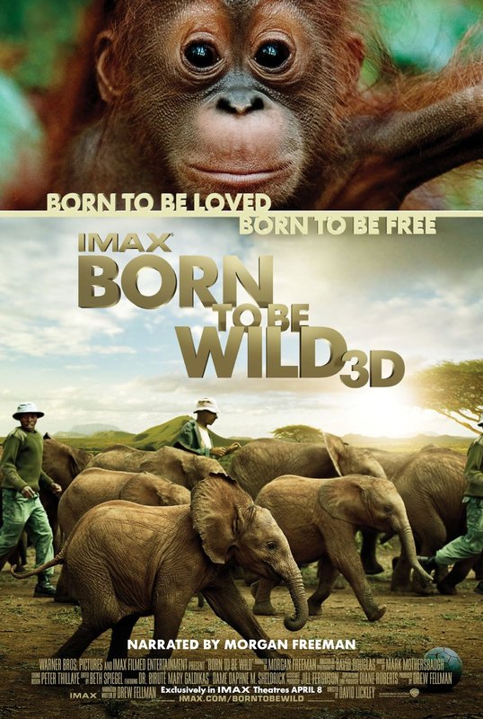 IMAX-Born-To-Be-Wild-2011-1080p-3-D-HSBS-Br-Rip-x264-YIFY.jpg