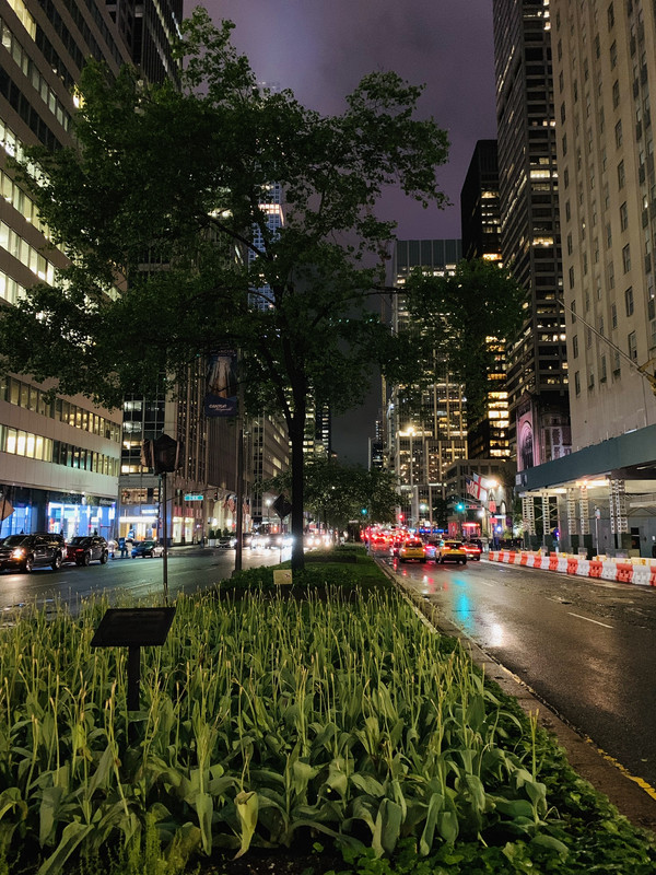 886EB5A2-437B-4A4A-BCDF-2C0352ACD296