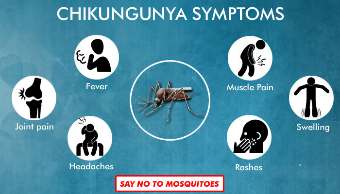 Joint Pain Caused by Chikungunya Virus Infection