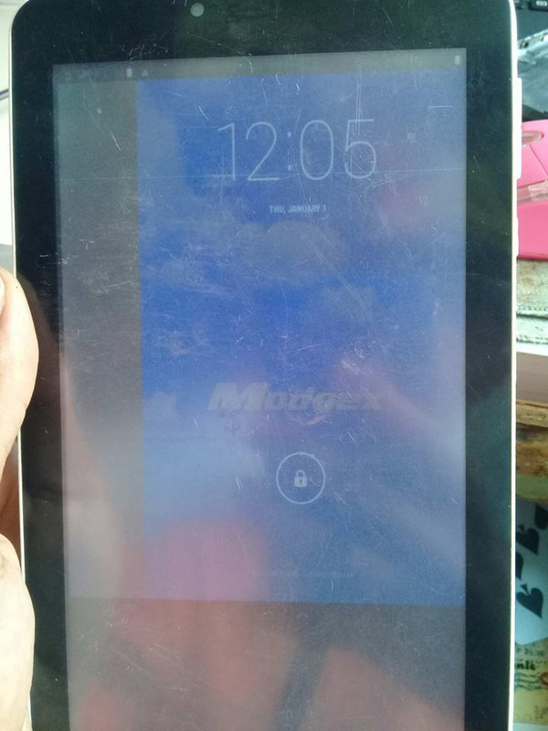 50394039_565716903840458_2654013442142240768_n