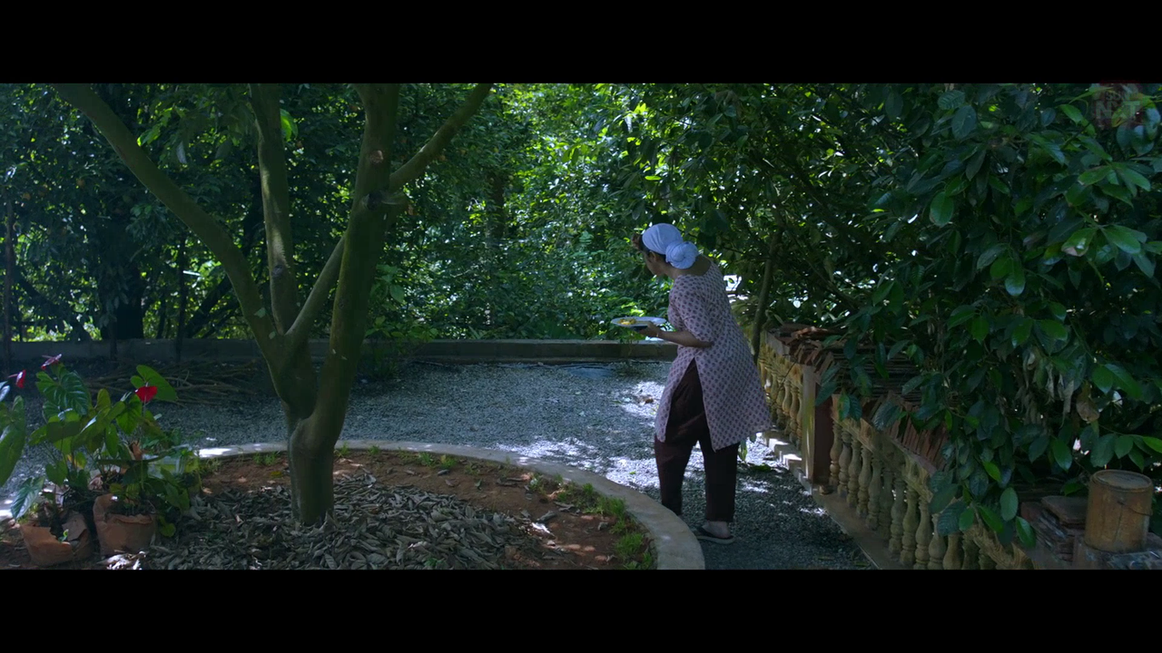 vlcsnap 2026 02 11 15h44m55s299