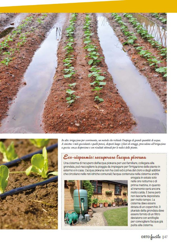 Orto Facile - Il Mio Orto Pratico - Feb-Mar 2025 (6)