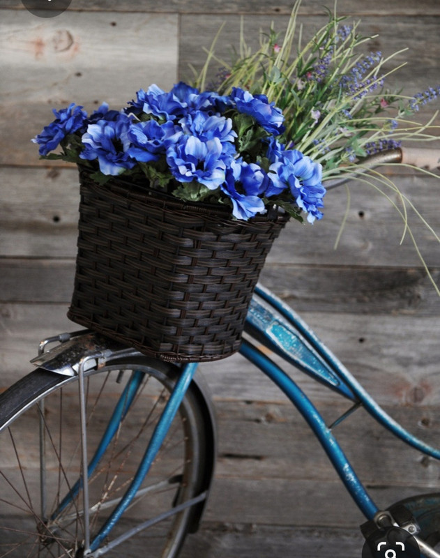 Screenshot_20230801_235303_Pinterest