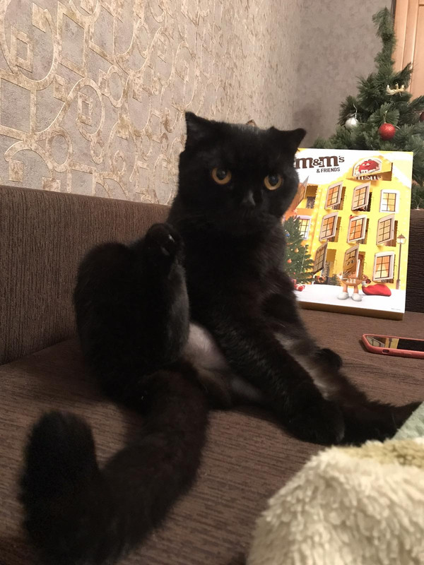 5734E60F-F16F-4F36-9026-77E022245368