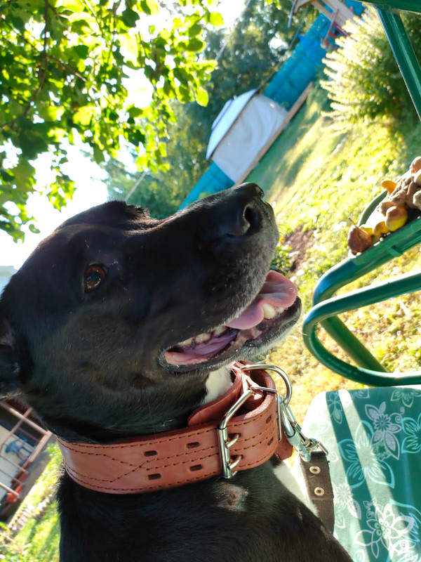 3FD47082-4D96-4852-B13A-C100C38902B5