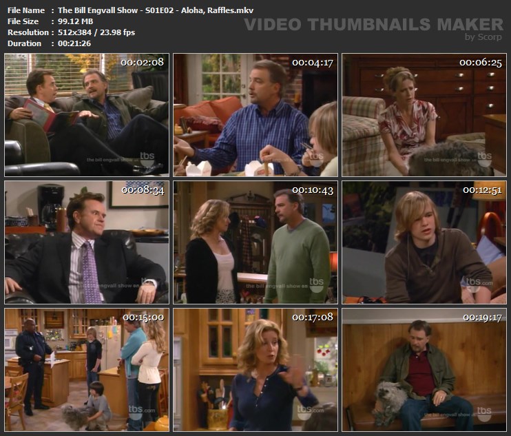 The Bill Engvall Show - S01E02 - Aloha, Raffles.mkv