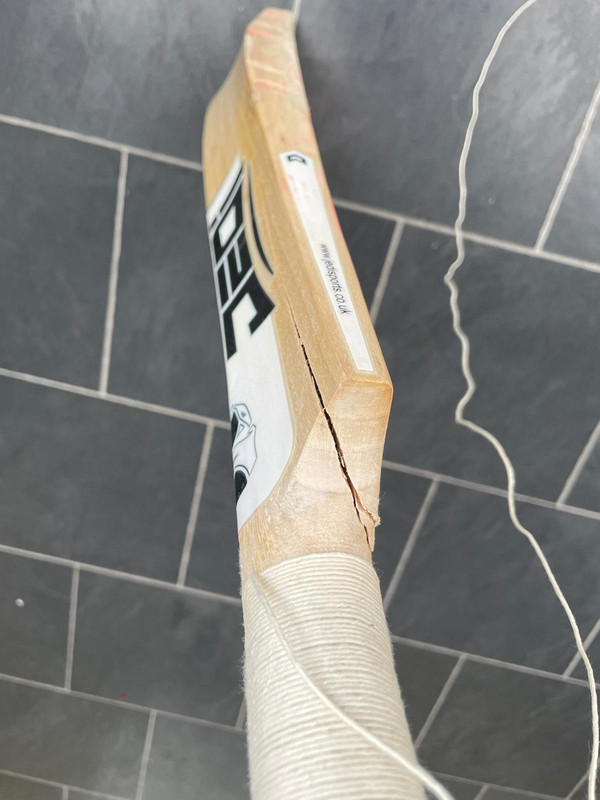 Kippax Bat 3 (3)