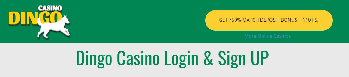 dingo casino
