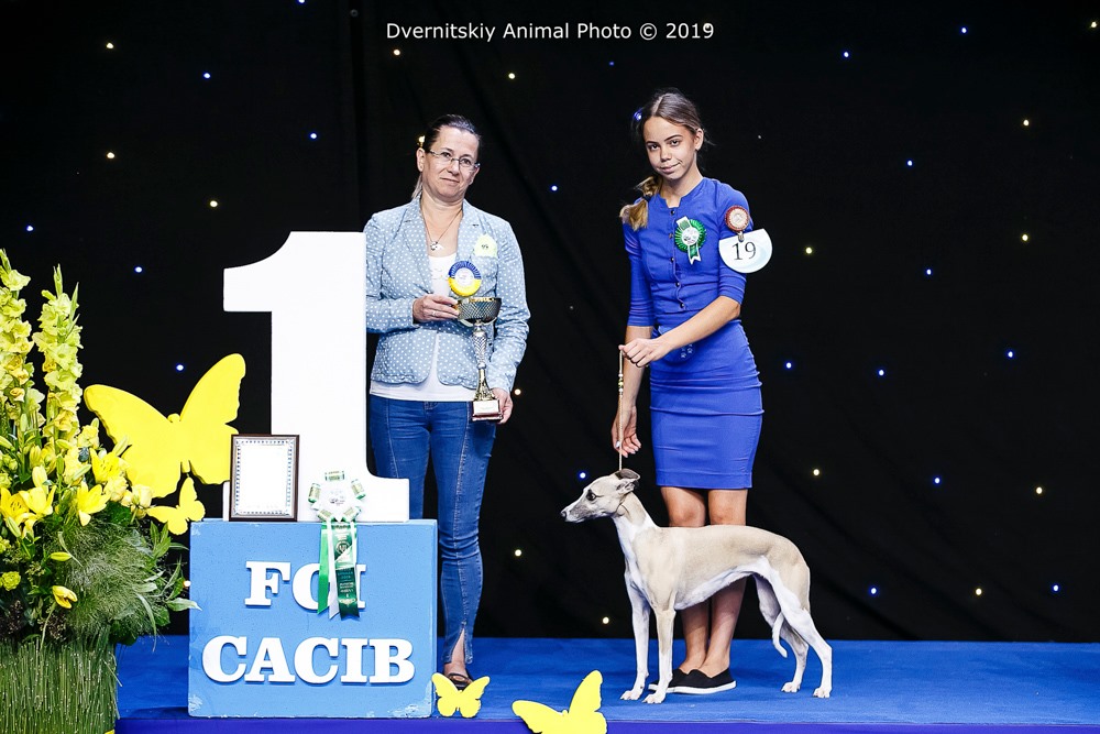 69904240_2846013002075620_8206258484774174720_o