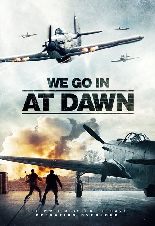 We Go In At DAWN 2020 720p WEBRip x264 AAC-YTS