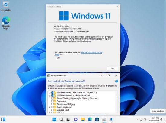Windows 11 Pro Version 22H2 Build 226621.755 Preview (x64) 3in1 OEM ESD No TPM MULTi-6 October 2022