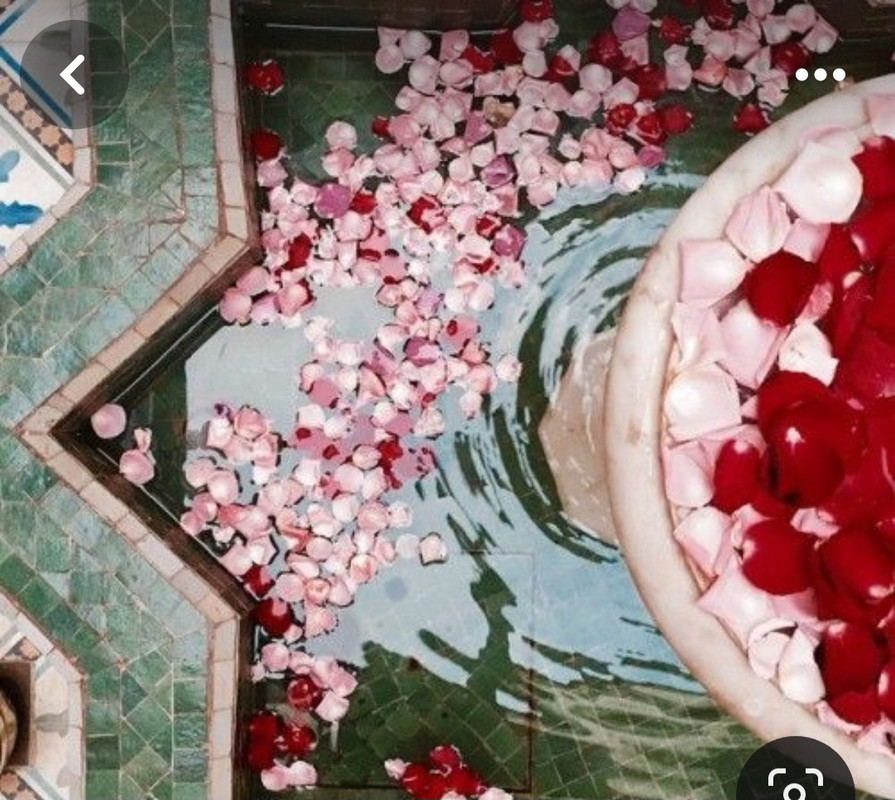 Screenshot_20240514_131602_Pinterest