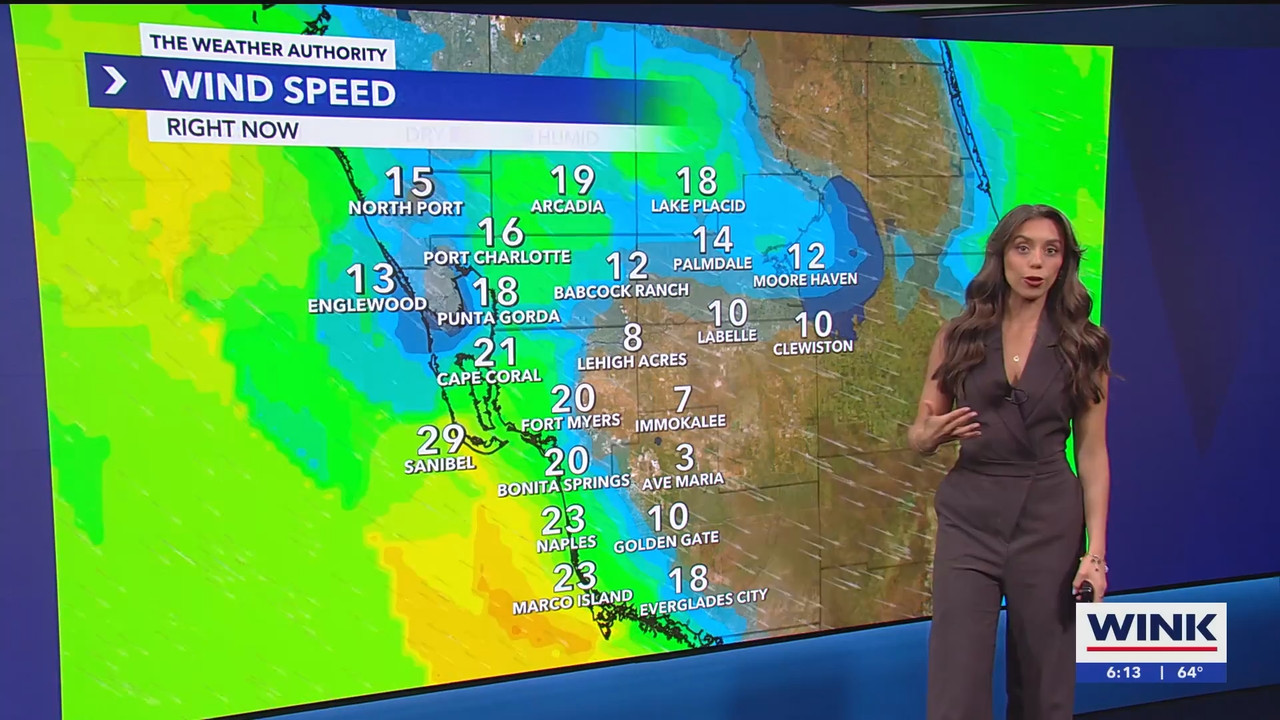 WINK News at 600am_20250306_11001130.ts_snapshot_14.56.665