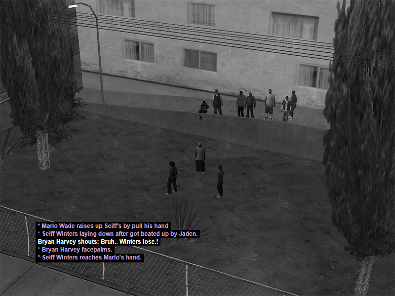 SSRP33-3.png