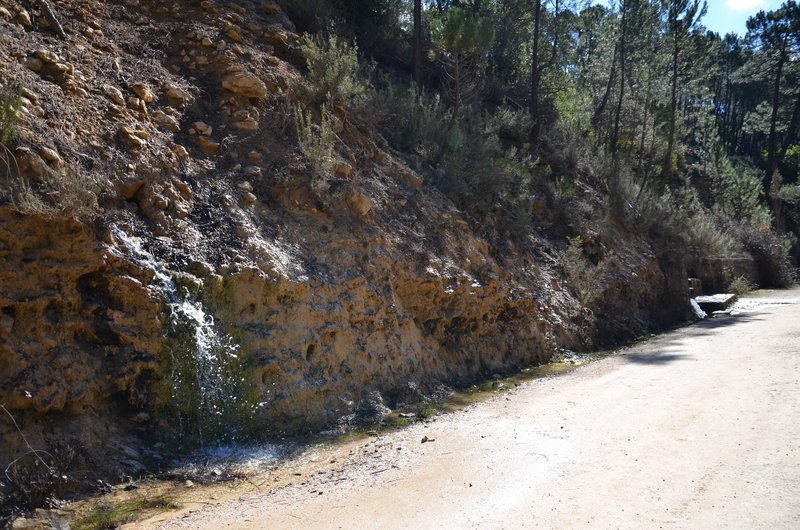 RUTA RIO BOROSA-12-3-2016-JAEN - Paseando por España-1991/2016 (8)