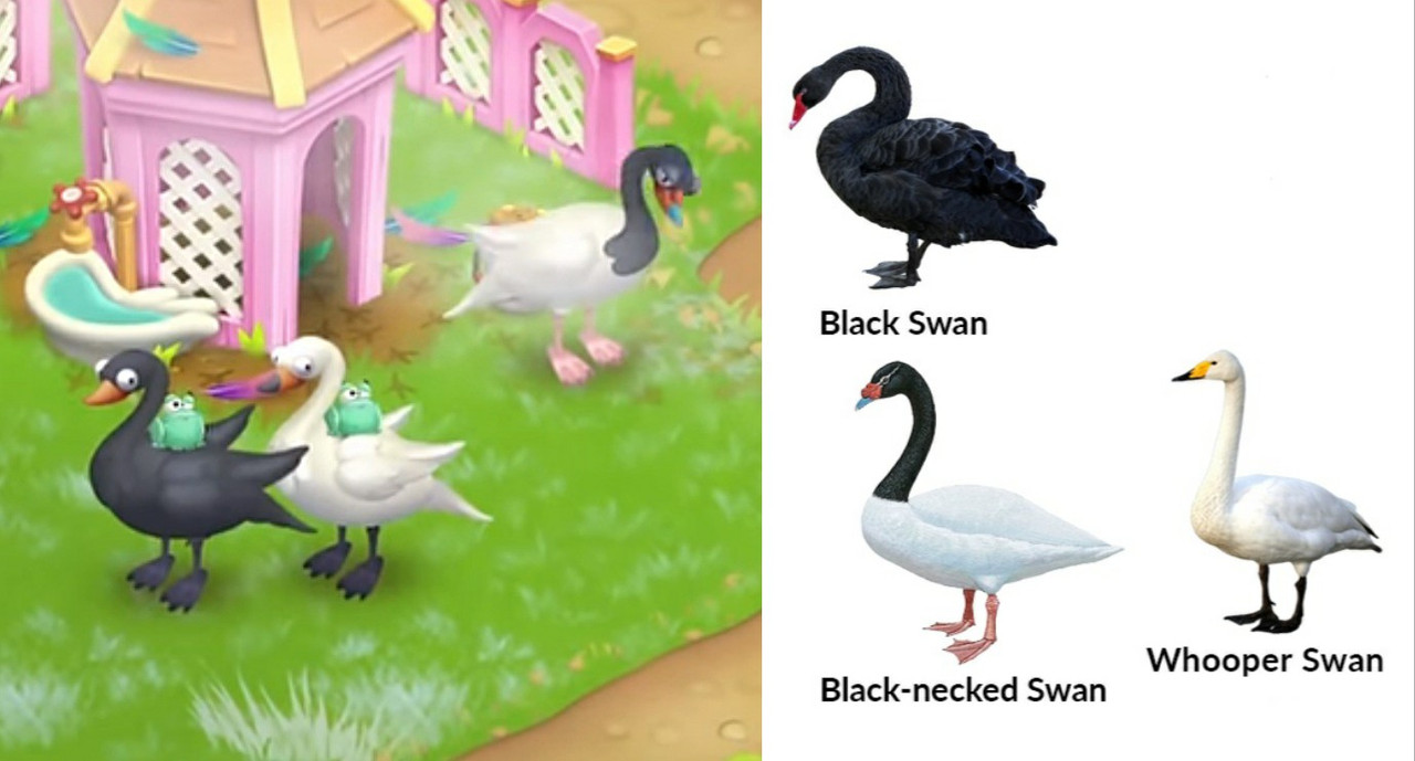 ZomboDroid_29112024084959