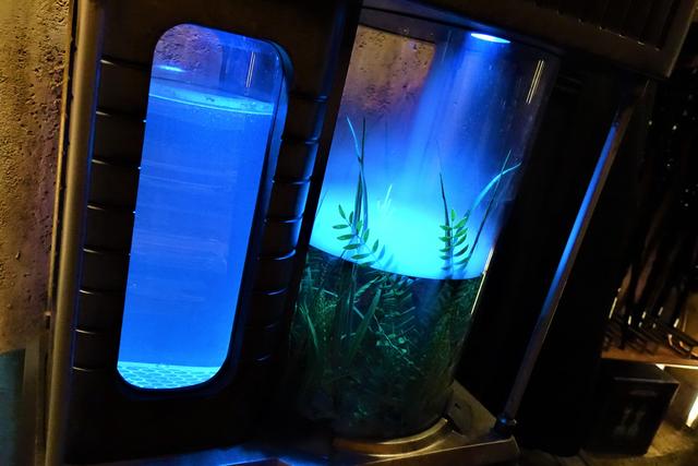 DOK-ONDAR DEN OF ANTIQUITIES: Tienda-museo para amantes de Star Wars - DISNEYLAND ~ STAR WARS: GALAXY'S EDGE, LA GUIA (14)