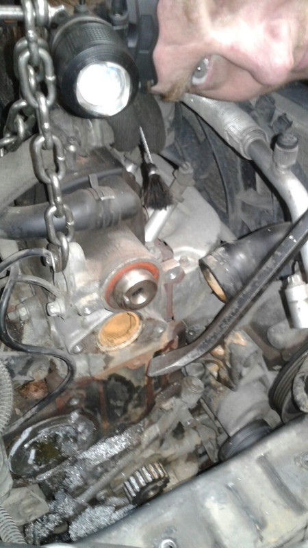 WhatsApp Image 2016-08-04 at 13.14.33