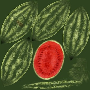 Texture-Watermelon-Diffuse