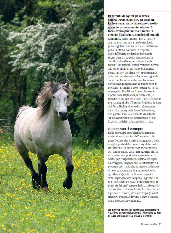 Il Mio Cav (Apr 2023) 4