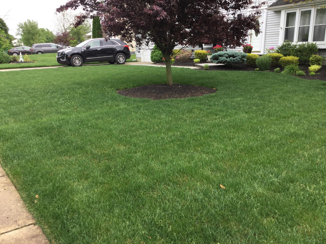 7A090CCC-6986-4FBA-8CC6-C311ECF034A0