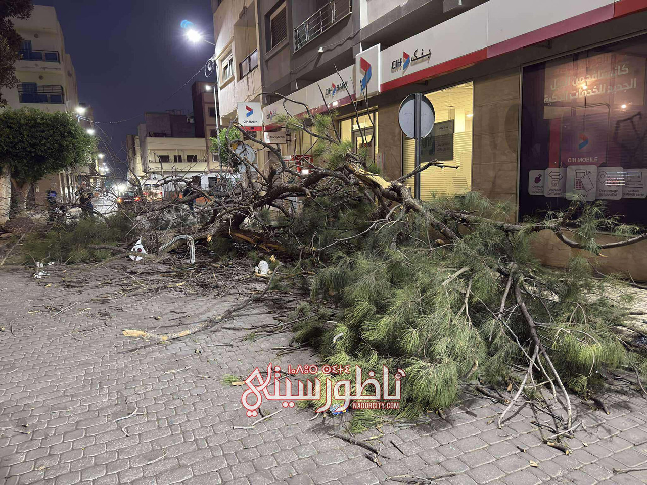 575341737-823977836707116-1051580332601939567-n