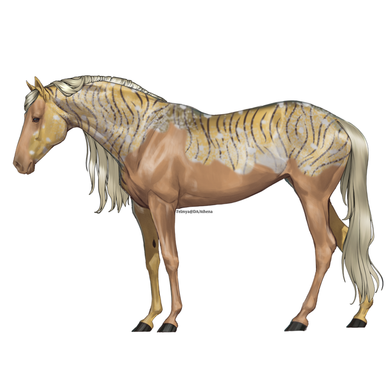 Untitled88-20250615172230.png