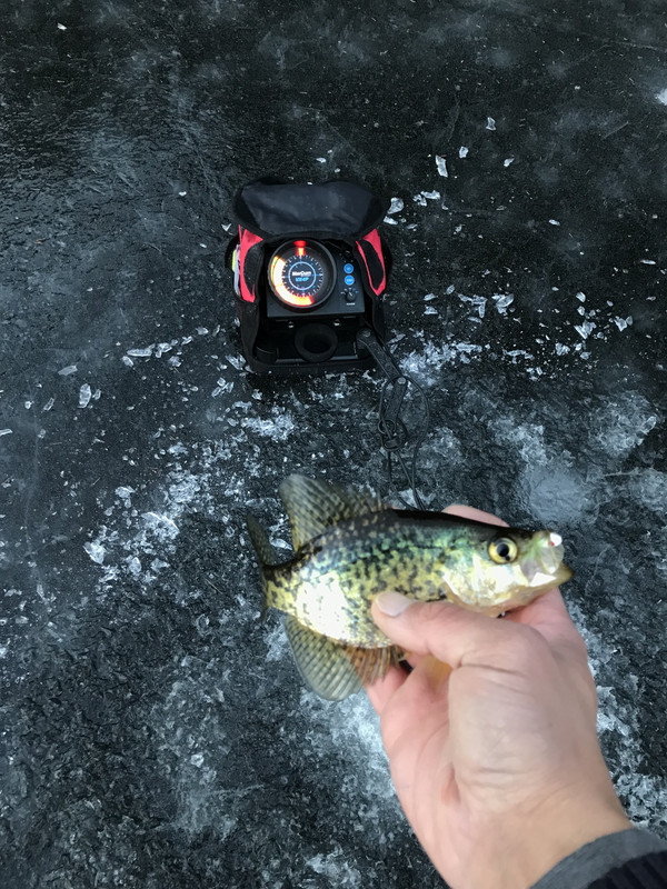 87389DA6-52FF-4685-B44A-C109B3B22C5B