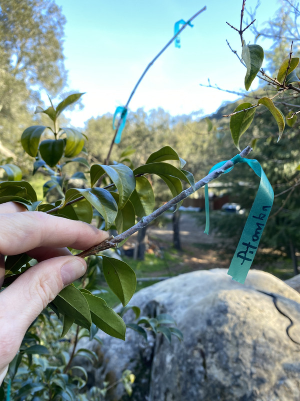 CBB803CF-DA99-4265-B572-91F79D3F042A