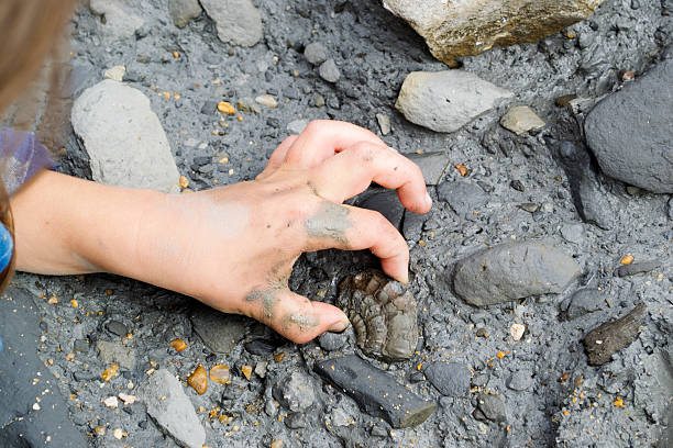 rocks and minerals for kids