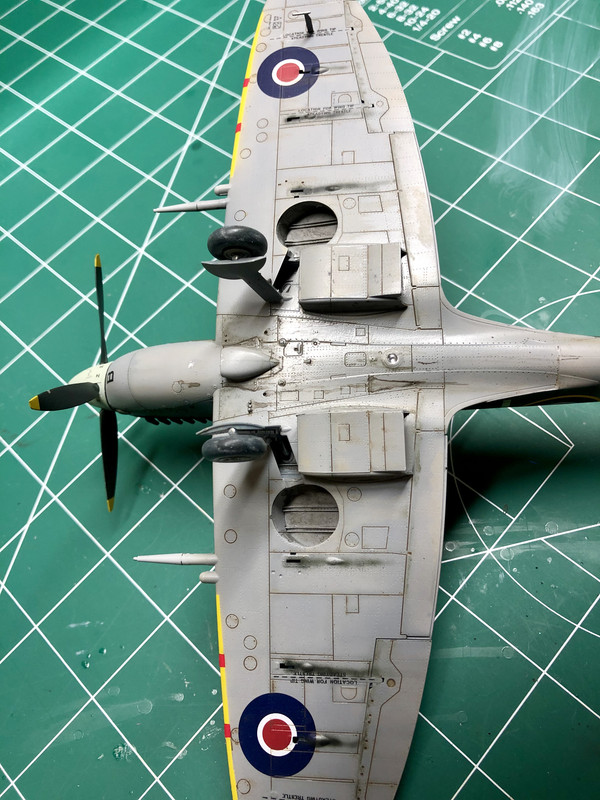 39660854523_8a8c528c10_o