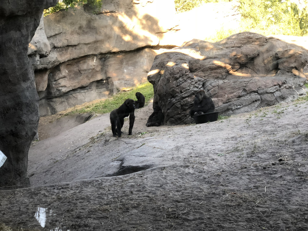 700FA853-5DCE-4F21-9C79-EE49748893E1