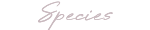 Do not use. / Species