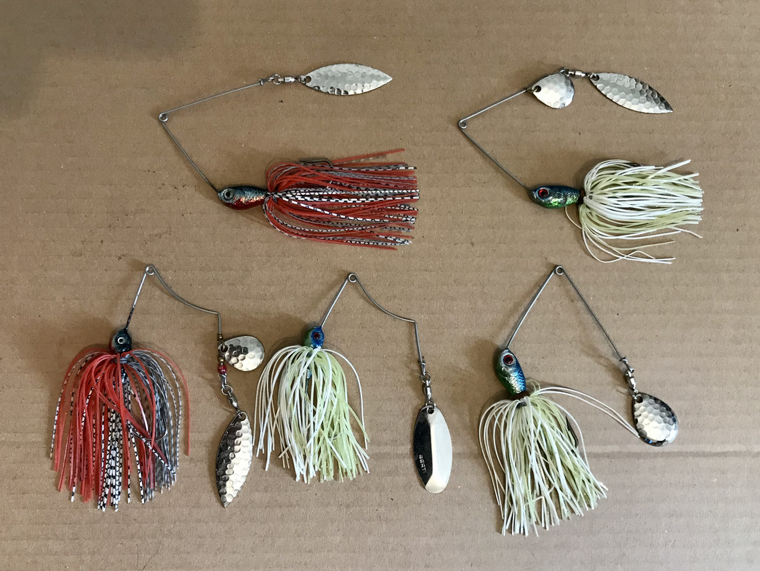 E1BF6AFC-AA56-4BCC-89FD-89EBBD5CC991