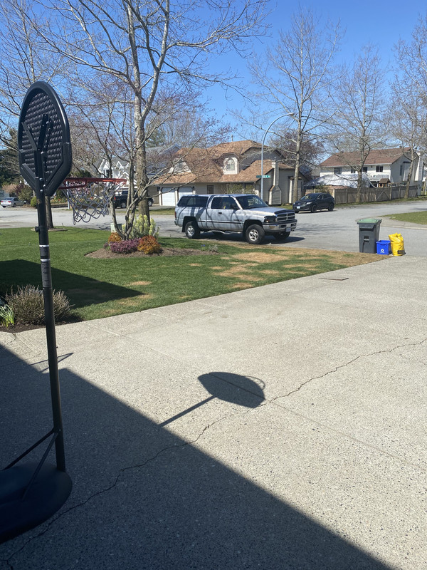 12181B94-D861-4C5B-8857-207898DB394F