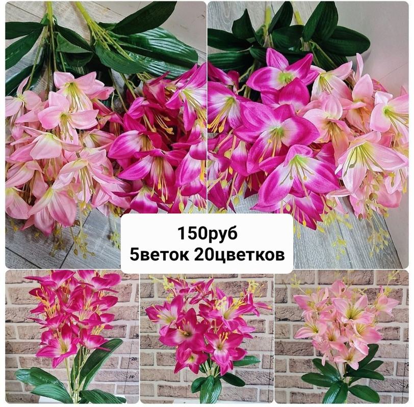 https://i.postimg.cc/fRNY4tZr/IMG-20230221-230814.jpg